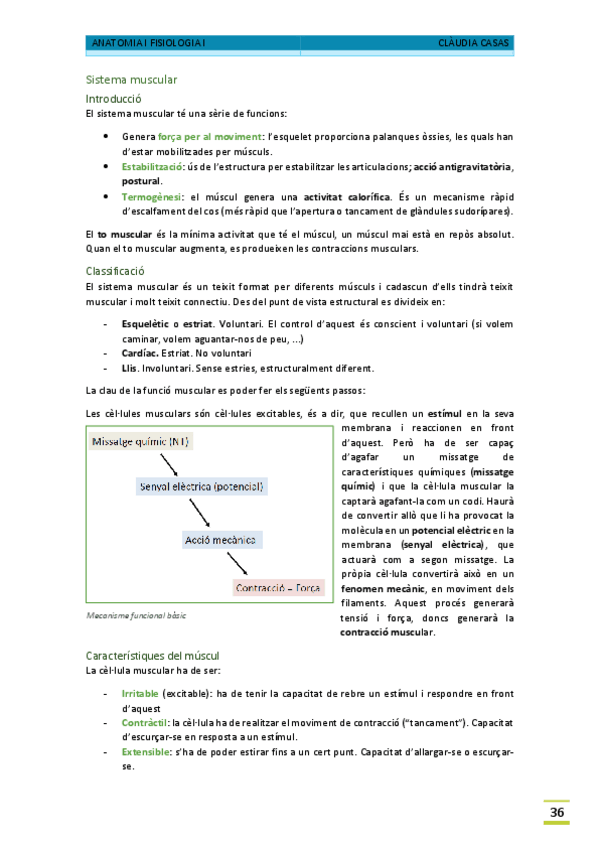 Miniatura del documento T7.-sistema-muscular.pdf