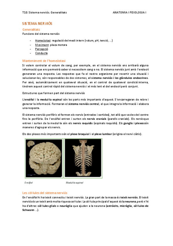Miniatura del documento T10.-sistema-nervios.-generalitats.pdf