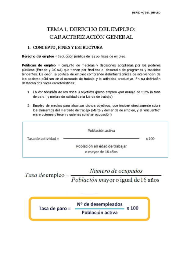 Miniatura del documento TEMA-1-DERECHO-DEL-EMPLEO.pdf