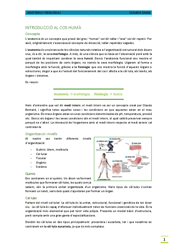 Miniatura del documento Anato-1er-q-RESUM.pdf