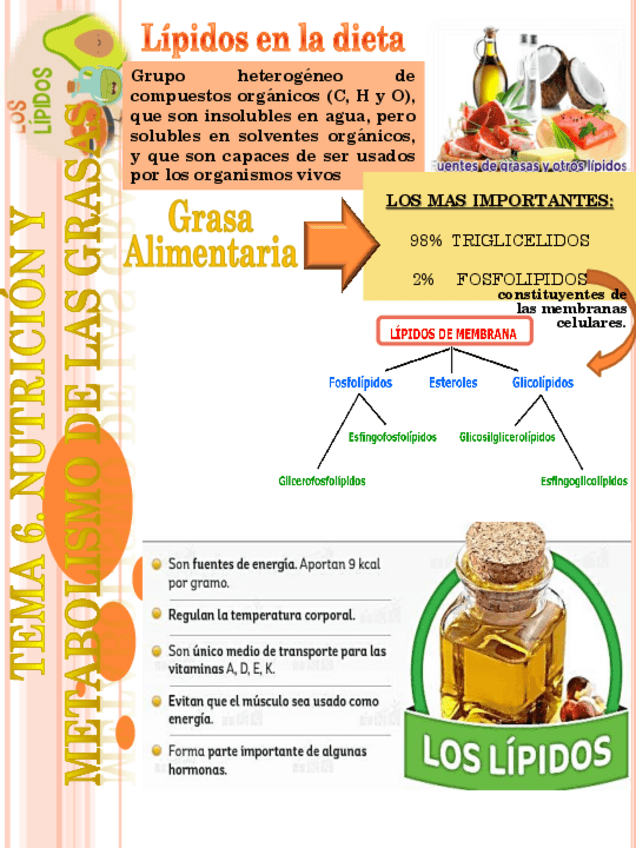 Miniatura del documento TEMA-6.-Metabolismos-de-las-grasas.pdf