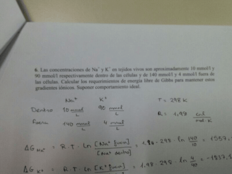 Miniatura del documento image.jpeg