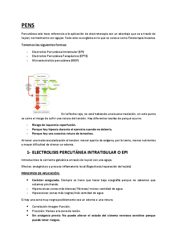 Miniatura del documento PENS-RESUMIDO.pdf