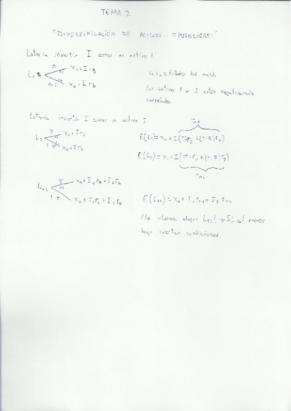 Miniatura del documento Tema 2 Diversificación activos financieros Incertidumbre.pdf