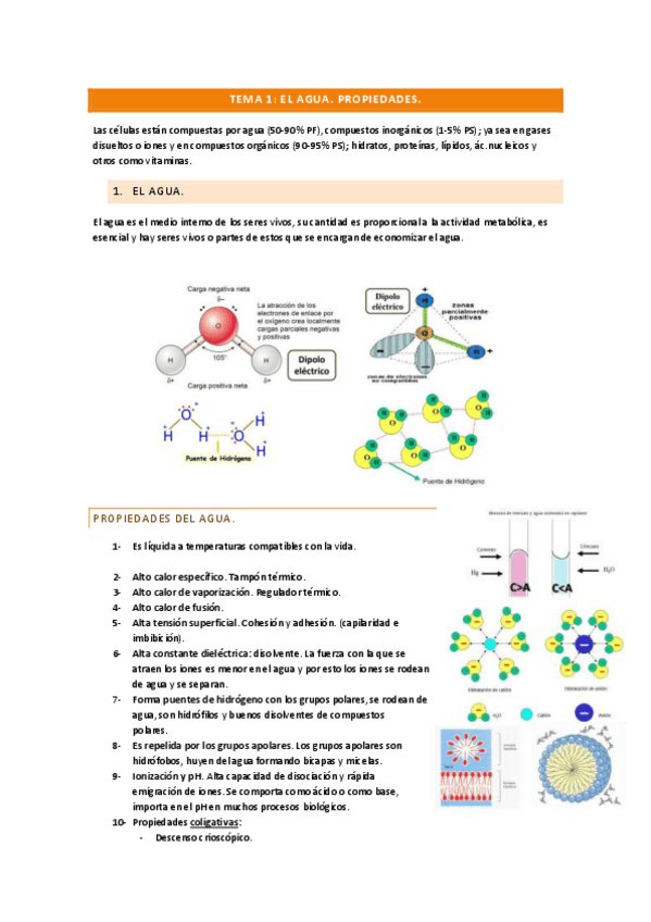 Miniatura del documento tema-1-el-agua.pdf