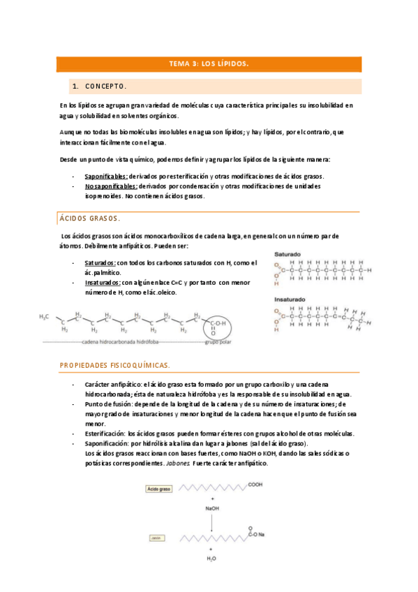 Miniatura del documento tema-3-lipidos.pdf