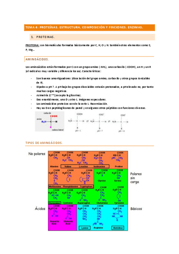 Miniatura del documento tema-4-proteinas.pdf