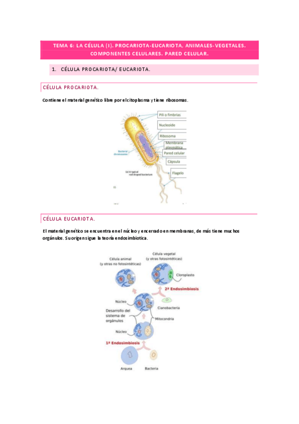 Miniatura del documento tema-6-la-celula.pdf