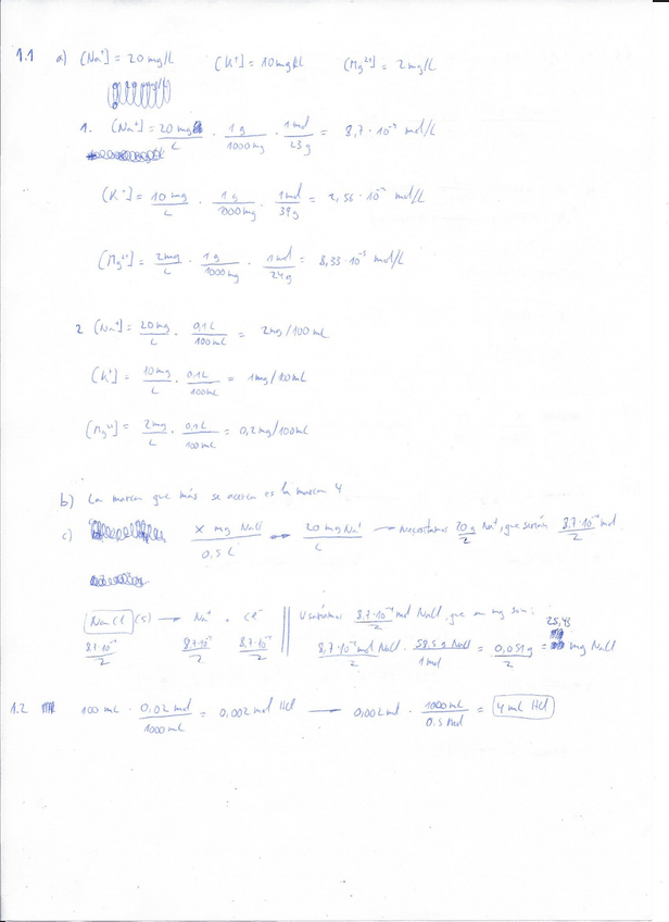 Miniatura del documento Scan0064.jpg