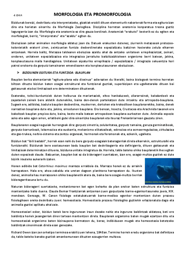 Miniatura del documento 4.-Morfologia-eta-promorfologia.pdf
