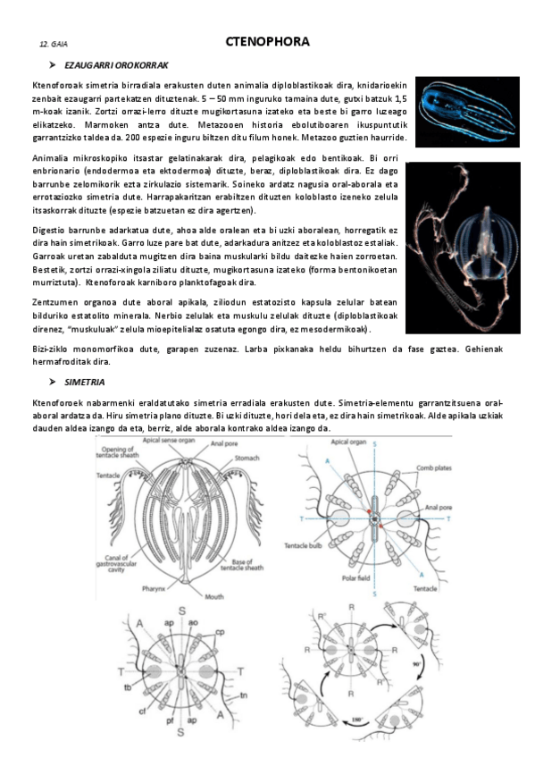 Miniatura del documento 12.-Ctenophora.pdf