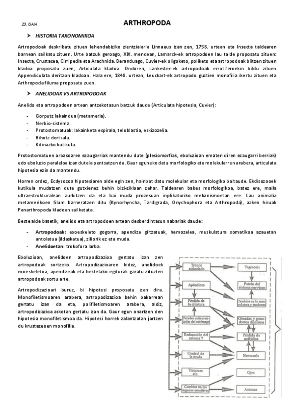 Miniatura del documento 23.-Arthropoda.pdf