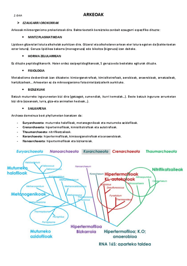 Miniatura del documento 2.-Arkeoak.pdf
