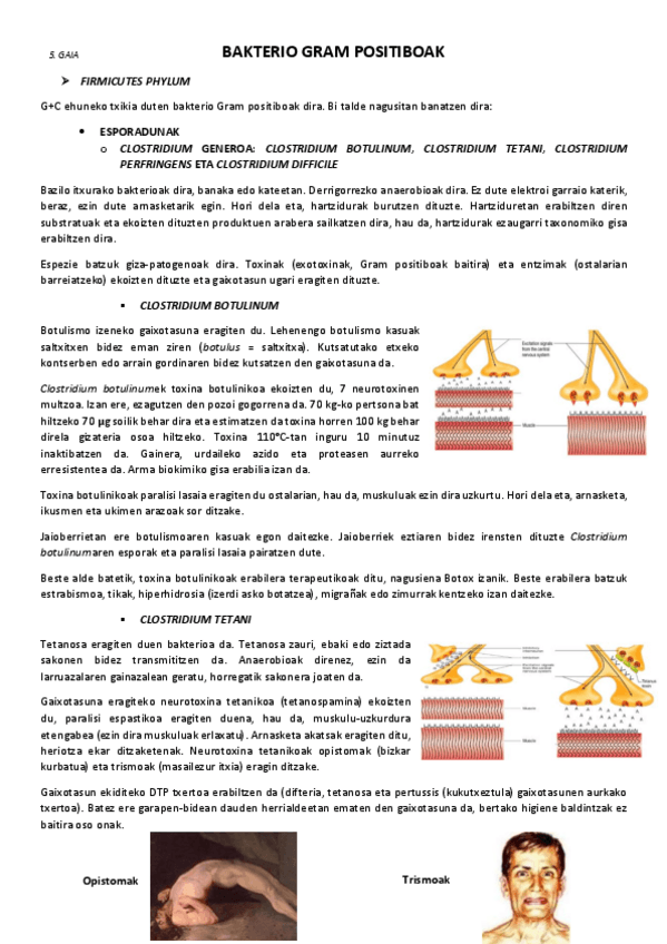 Miniatura del documento 5.-Bakterio-Gram-positiboak.pdf