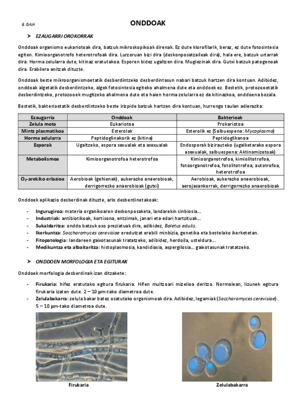 Miniatura del documento 6.-Onddoak.pdf