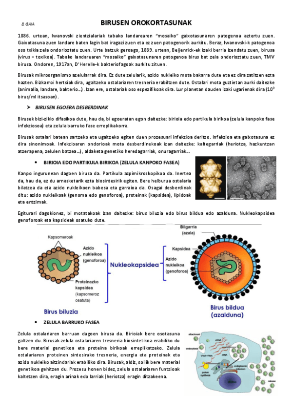 Miniatura del documento 8.-Birusen-orokortasunak.pdf