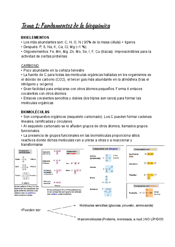 Miniatura del documento Bioquímica-Estructural-Teoria-PrimerParcial.pdf