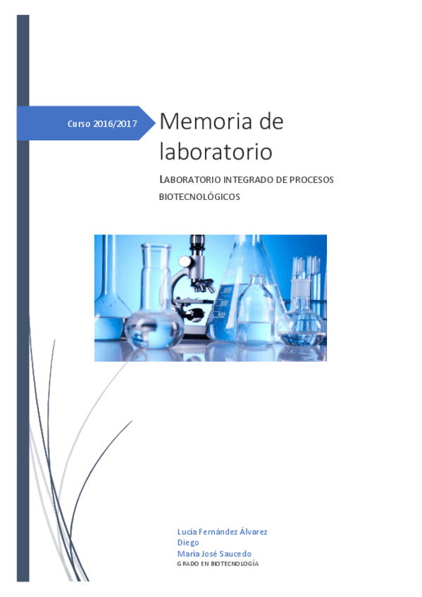 Miniatura del documento memoria liproc.pdf