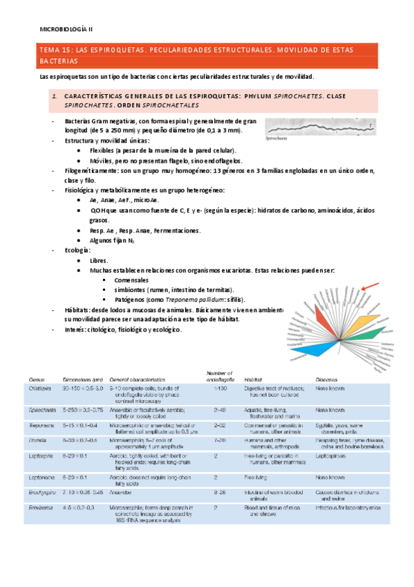 Miniatura del documento TEMA-15.pdf