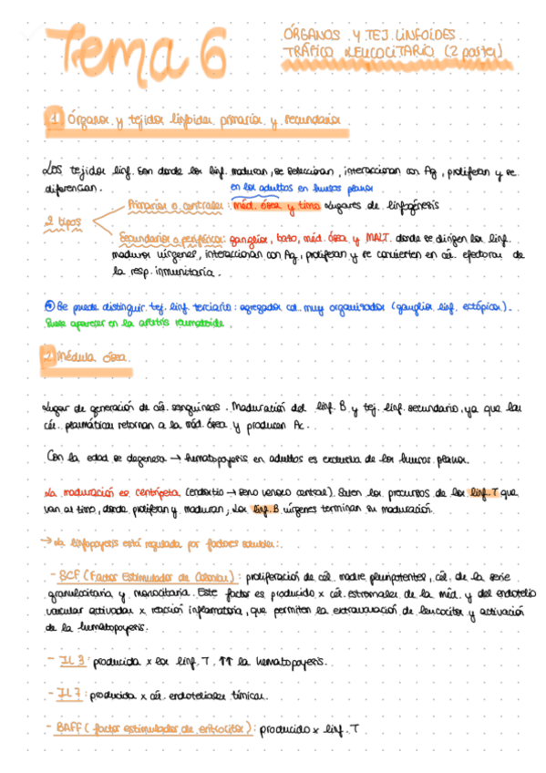 Miniatura del documento Apuntes-tema-6.pdf