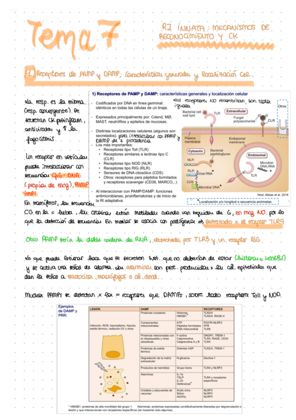 Miniatura del documento Apuntes-tema-7.pdf