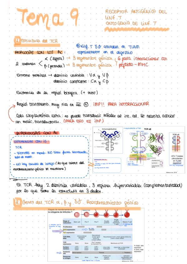Miniatura del documento Apuntes-tema-9.pdf