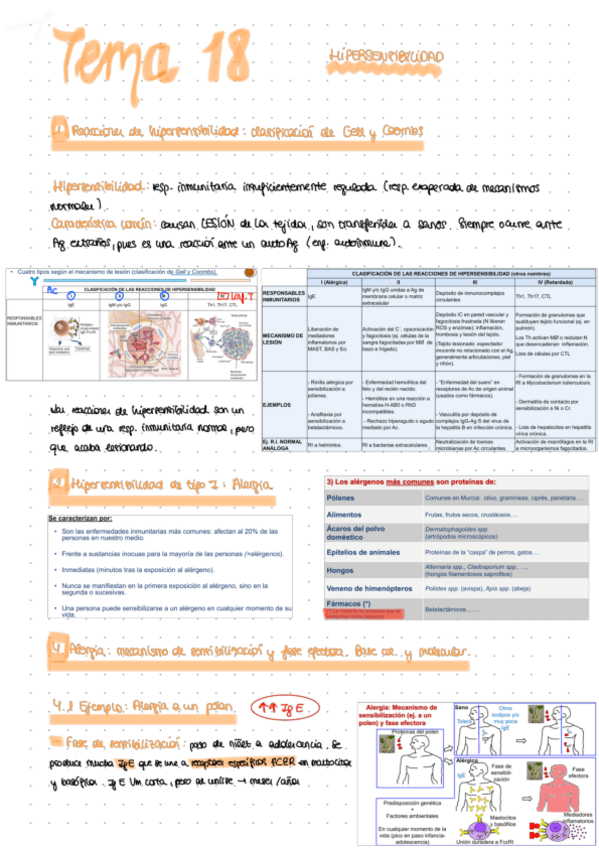 Miniatura del documento Apuntes-tema-18.pdf