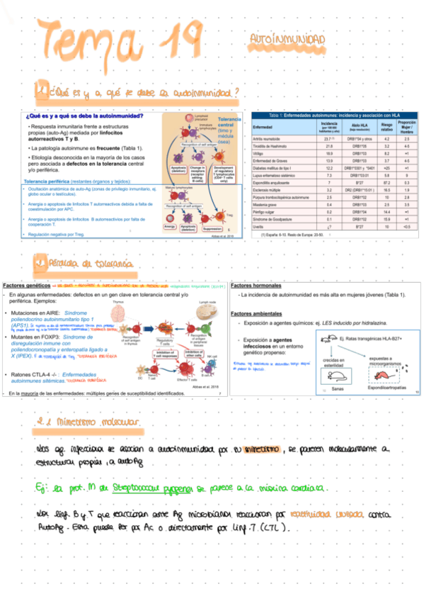 Miniatura del documento Apuntes-tema-19.pdf
