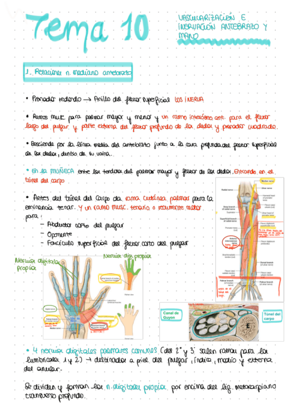 Miniatura del documento TEMA-10.pdf