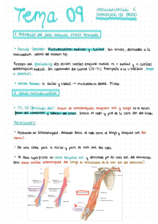 Miniatura del documento TEMA-09.pdf