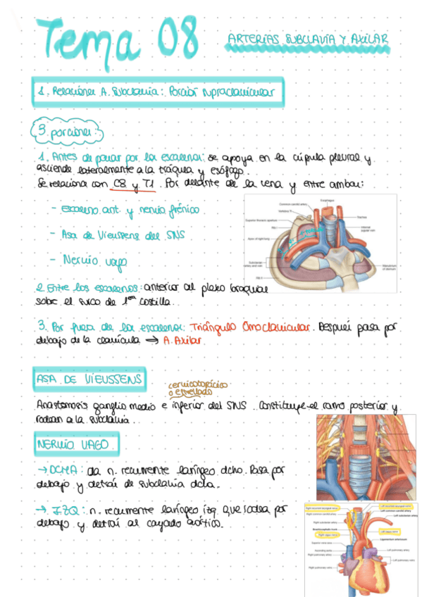 Miniatura del documento TEMA-08.pdf