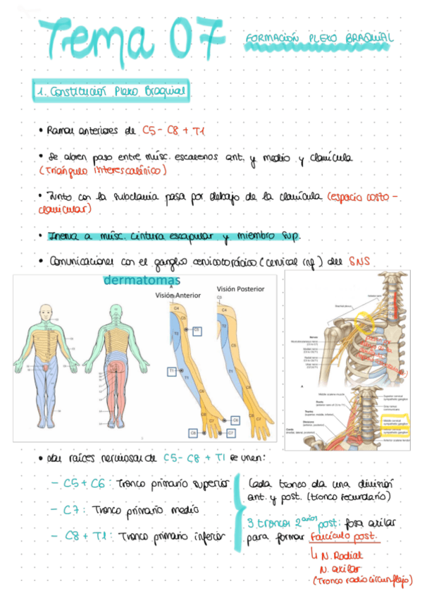 Miniatura del documento TEMA-07.pdf
