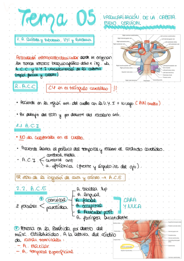 Miniatura del documento TEMA-05.pdf