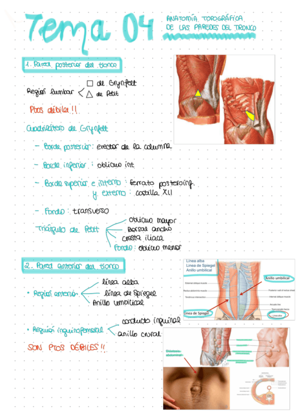 Miniatura del documento TEMA-04.pdf