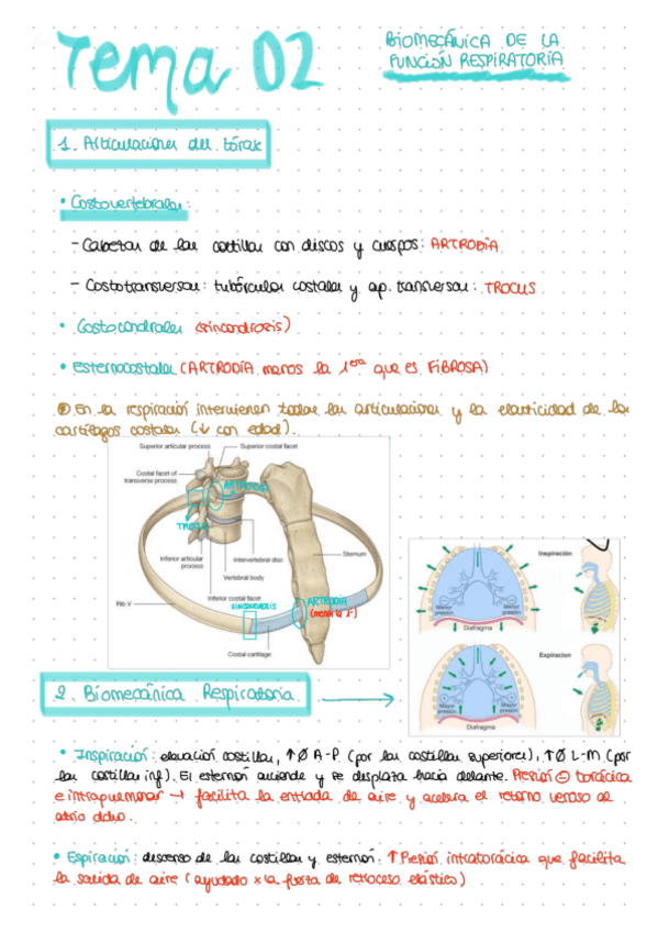Miniatura del documento TEMA-02.pdf