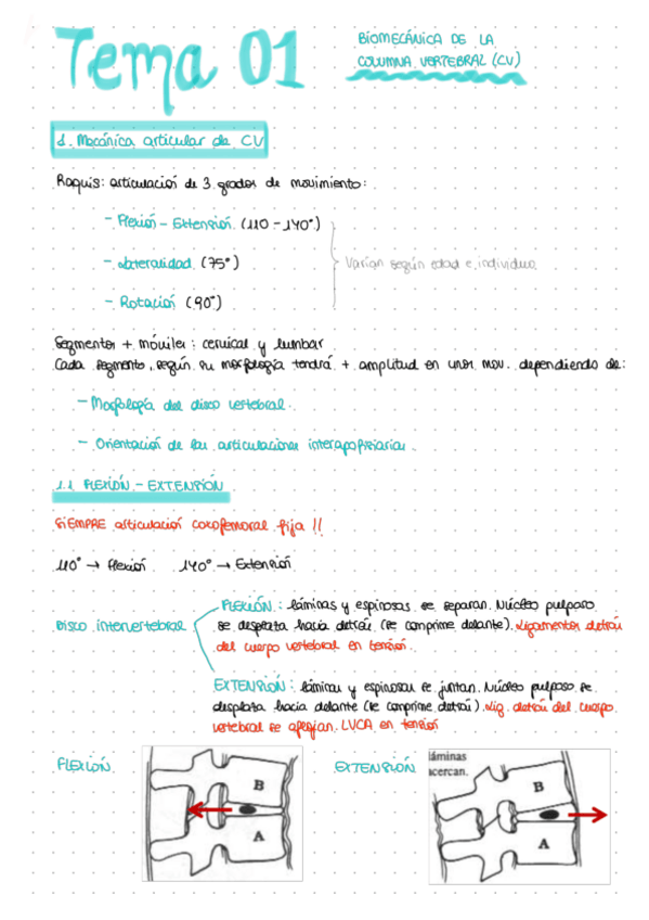 Miniatura del documento TEMA-01.pdf