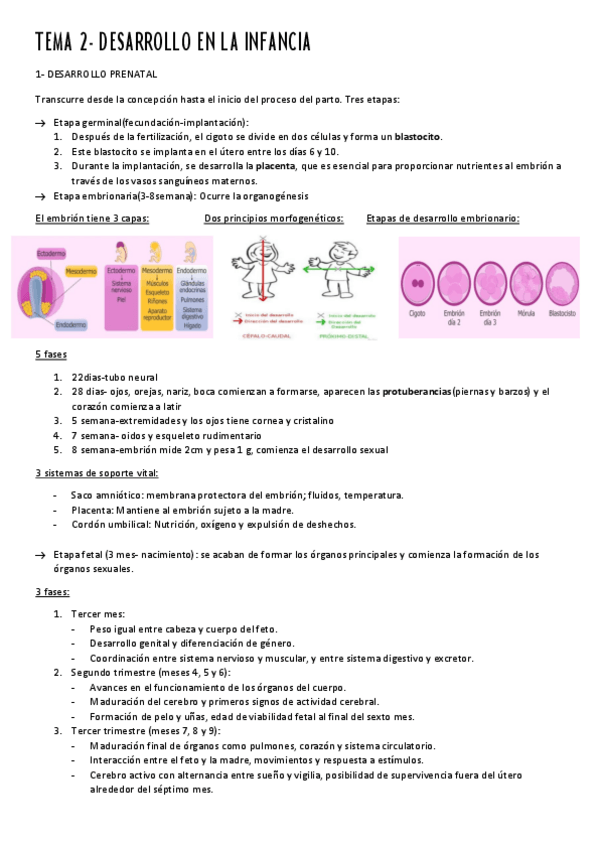 Miniatura del documento TEMA-2.pdf