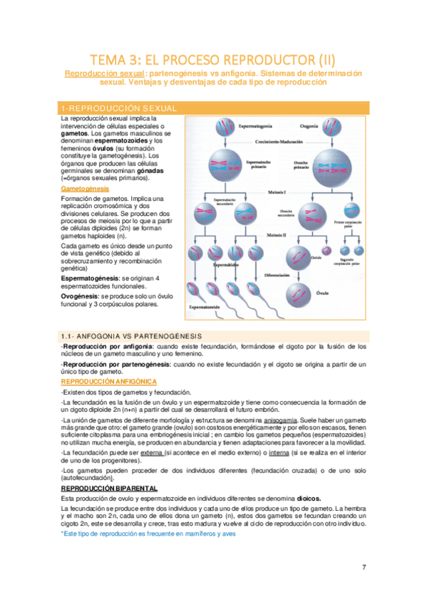 Miniatura del documento Tema-3-zoo-I.pdf