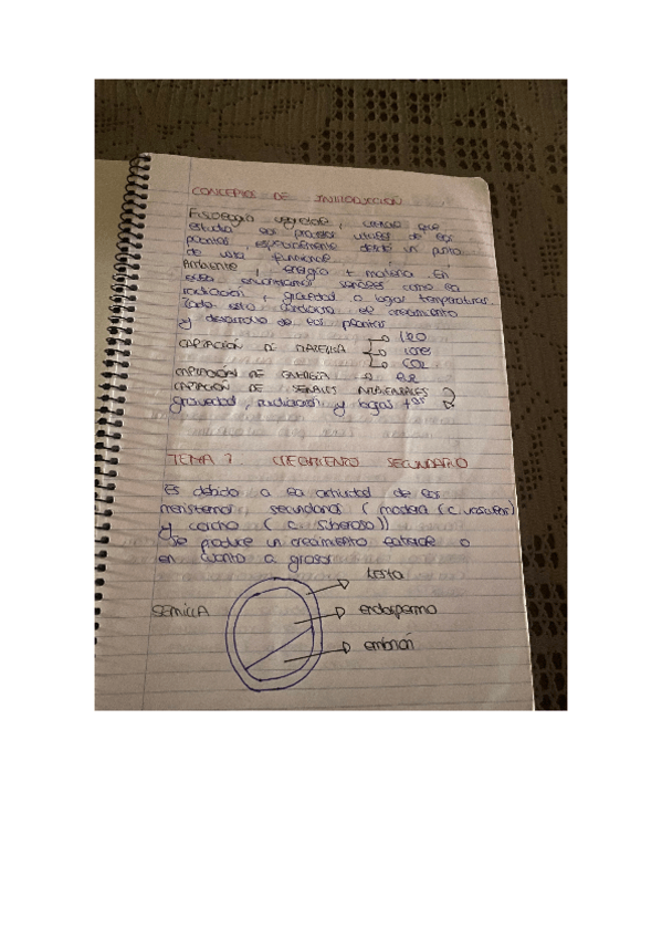 Miniatura del documento TEMA-1.pdf