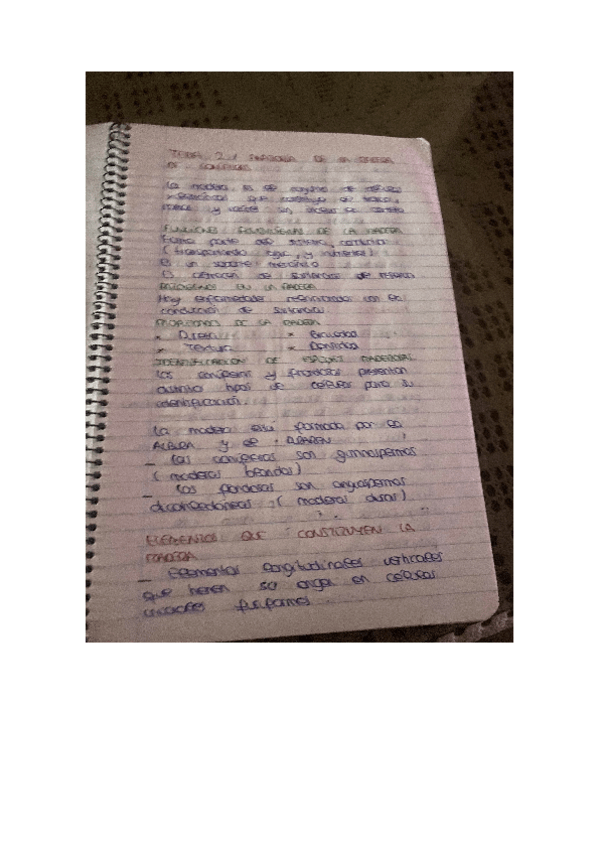 Miniatura del documento TEMA-2.pdf