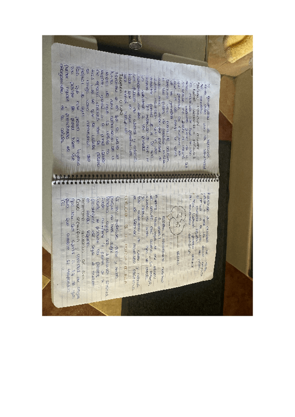 Miniatura del documento TEMA-4.pdf