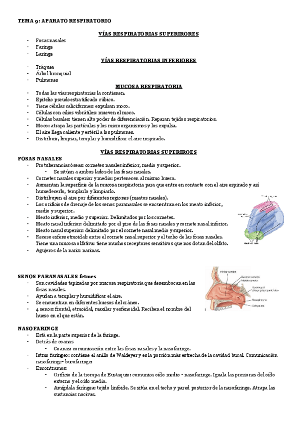 Miniatura del documento 2o-PARCIAL-ANATOMIA-1o-ODONTOLOGIA-1.pdf