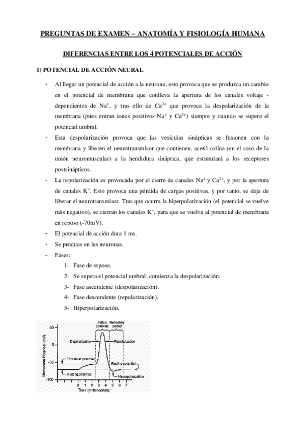 Miniatura del documento Posibles-preguntas-de-examen.pdf
