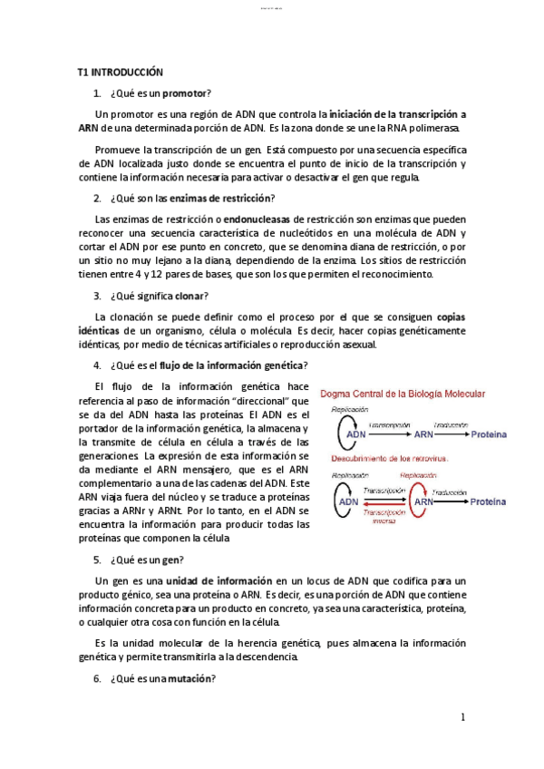Miniatura del documento Genetica-molecular.pdf