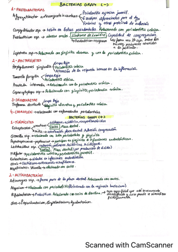 Miniatura del documento 1er-parcial-Microbiologia.pdf
