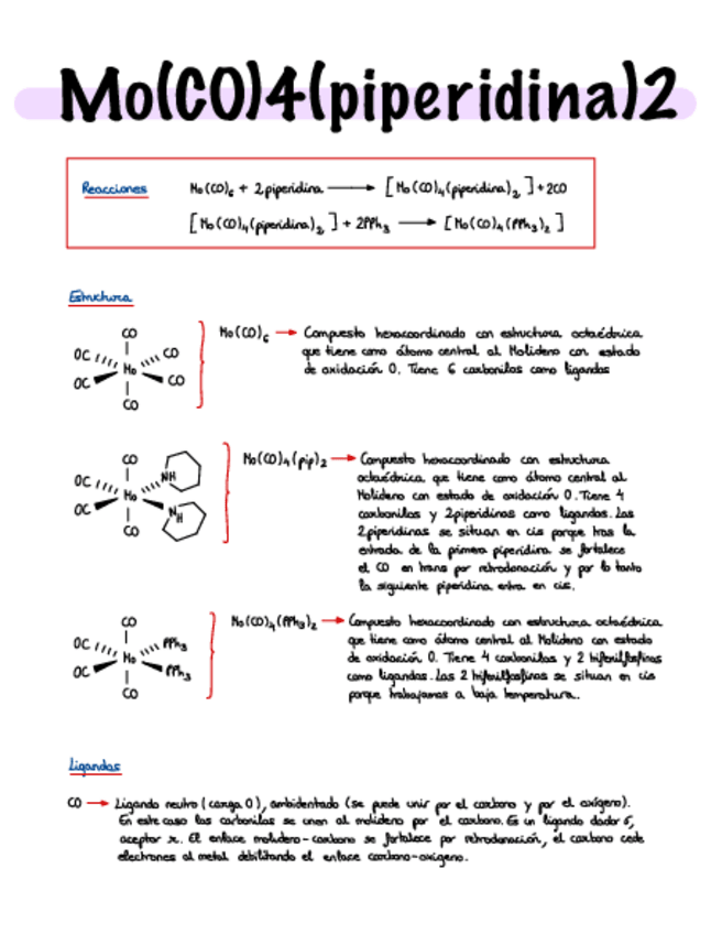 Miniatura del documento Informe-Molibdeno.pdf