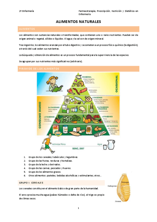 Miniatura del documento TEMA-3-ALIMENTOS-NATURALES.pdf
