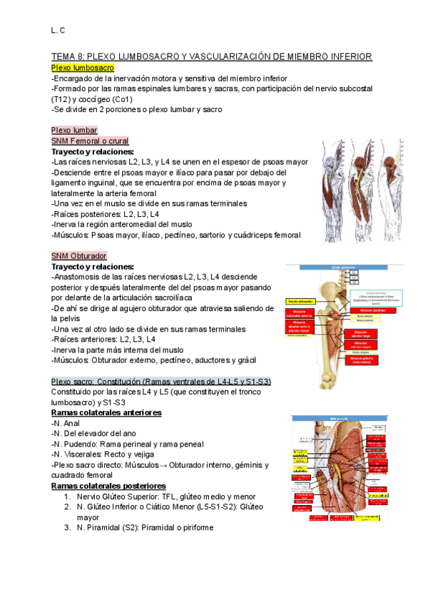 Miniatura del documento T8-INERVACION-M.-Inf.pdf