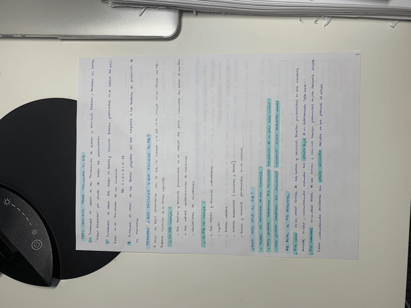 Miniatura del documento IMG4994.jpeg