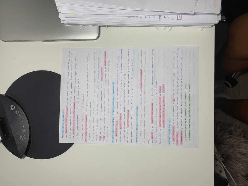 Miniatura del documento IMG4997.jpeg